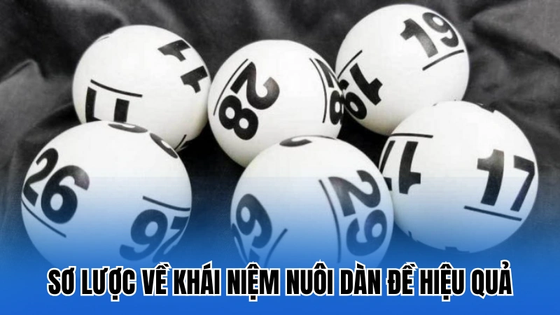 Thông tin sơ lược về khái niệm nuôi dàn đề hiệu quả